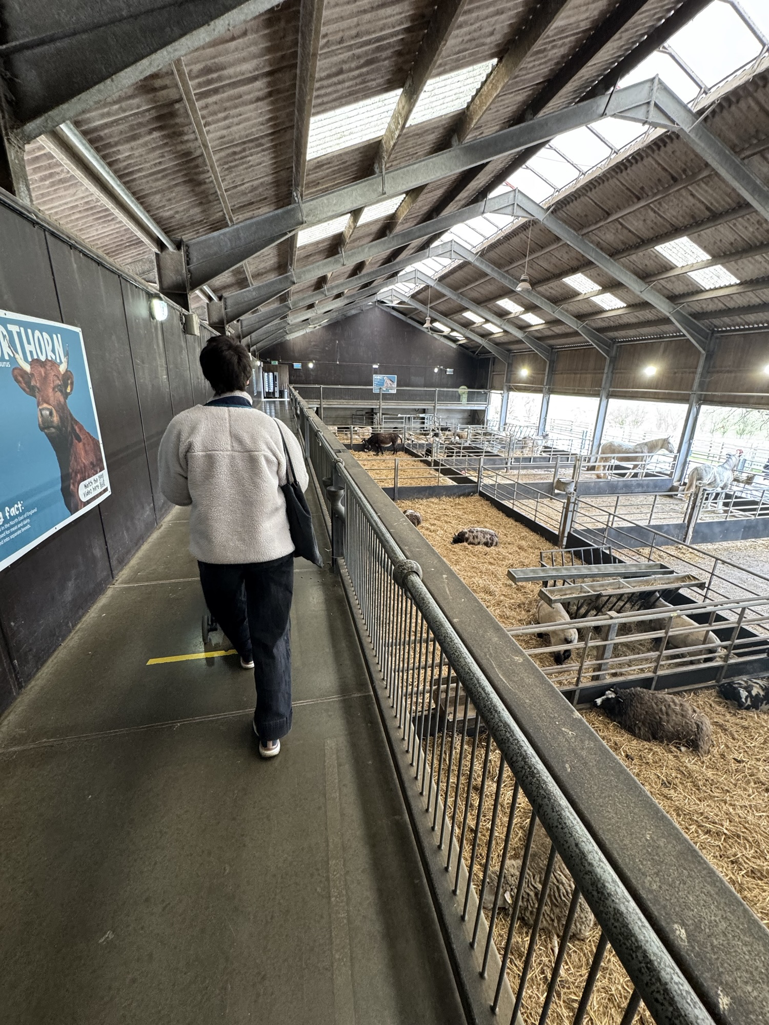 Cannon Hall Farm